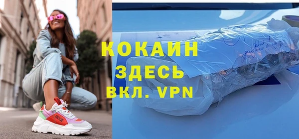 ГАЛЛЮЦИНОГЕННЫЕ ГРИБЫ Лагань
