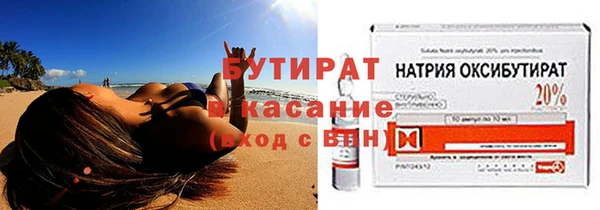 сатива Заводоуковск