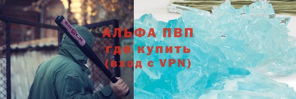 сатива Заводоуковск