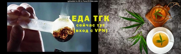 индика Заволжск