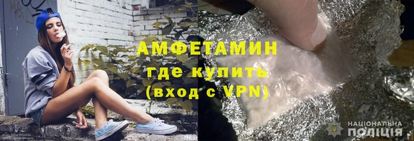сатива Заводоуковск