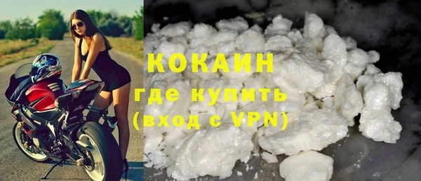 сатива Заводоуковск