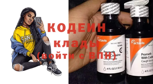 индика Заволжск