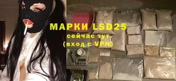 сатива Заводоуковск