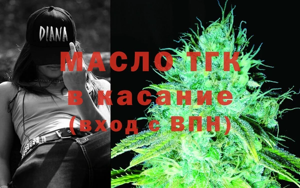 индика Заволжск