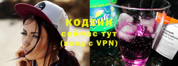 индика Заволжск